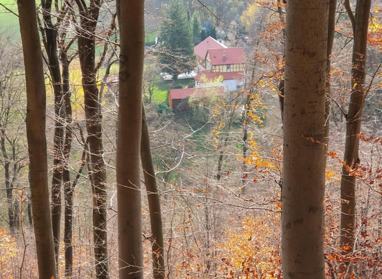 Ferien Langer Grund Mitten Im Wald Bad Pyrmont Extérieur photo